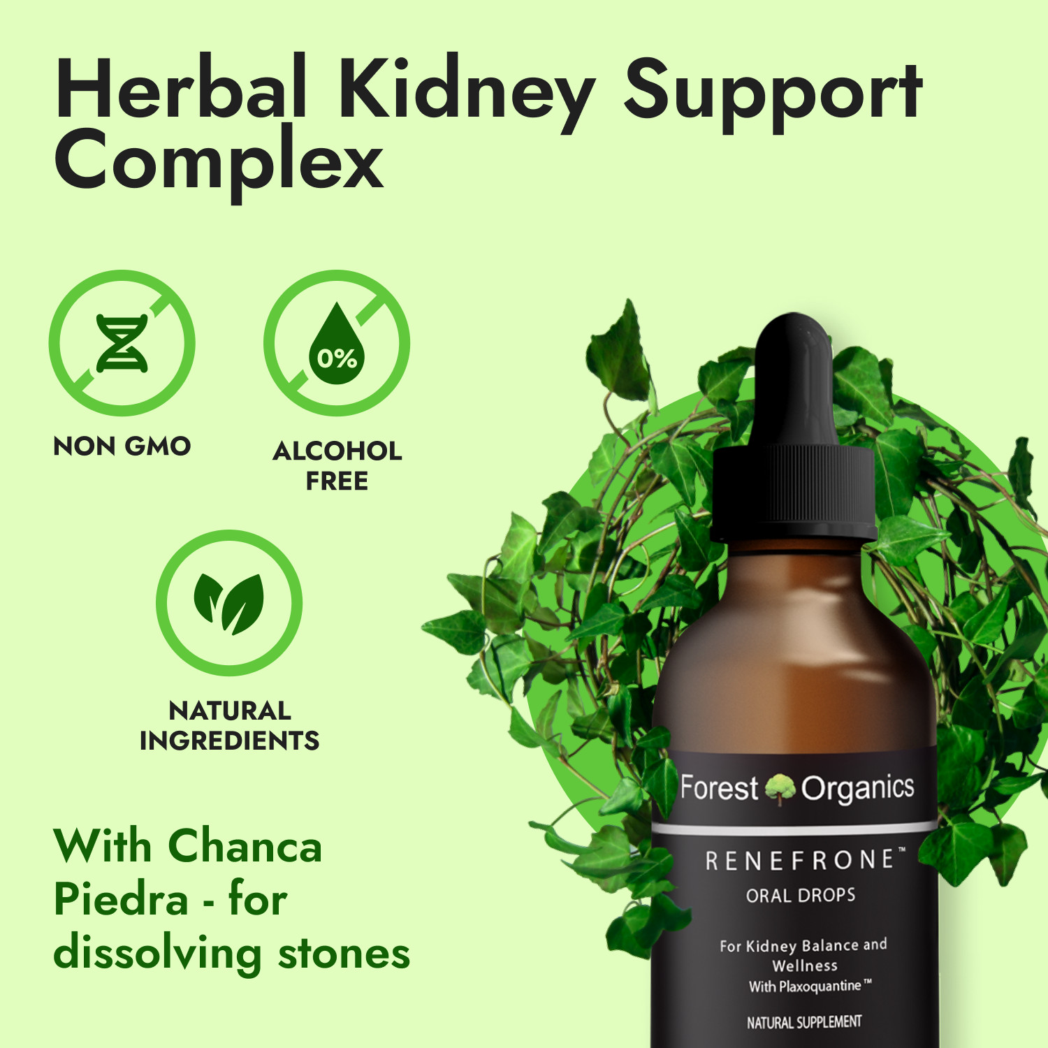 Kidney Health Support Supplement Kidney Detox Drops & Support Kidney Function