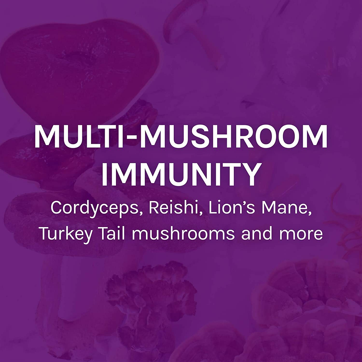 Host Defense MyCommunity Immune Support Powder Fungi Perfecti 3.5 oz
