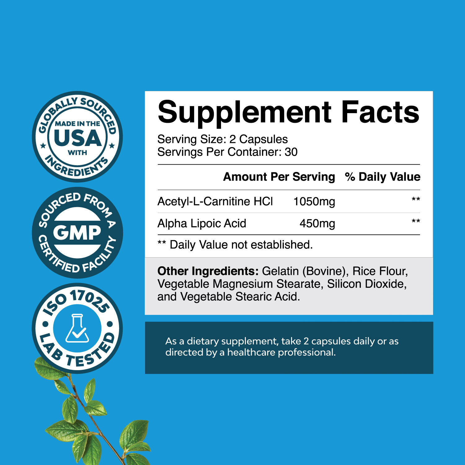 ALC and Alpha Lipoic Acid Supplements – Acetyl l-carnitine Alpha Lipoic Acid