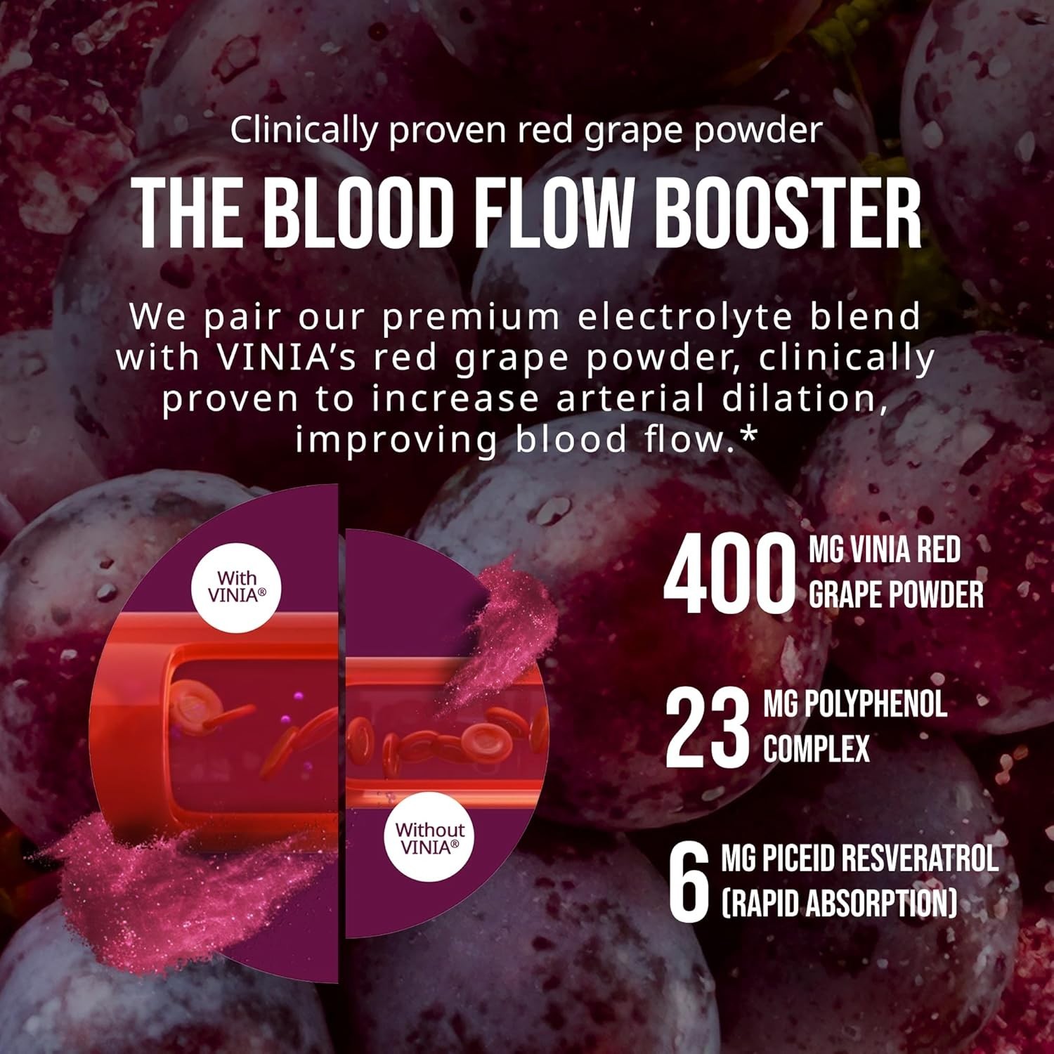 VINIA Resveratrol Electrolyte Hydration Powder Mix Variety Mix Blood Flow