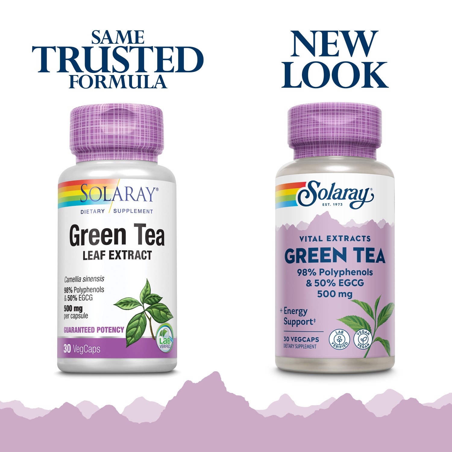 Solaray Guaranteed Potency Green Tea Leaf Extract Double Strength, Veg Cap
