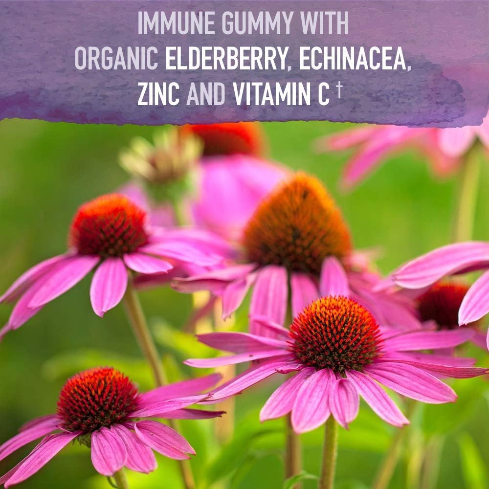 Triple Strength Elderberry Gummies-With,Zinc&Vitamin C for Immune Support 60 Pcs