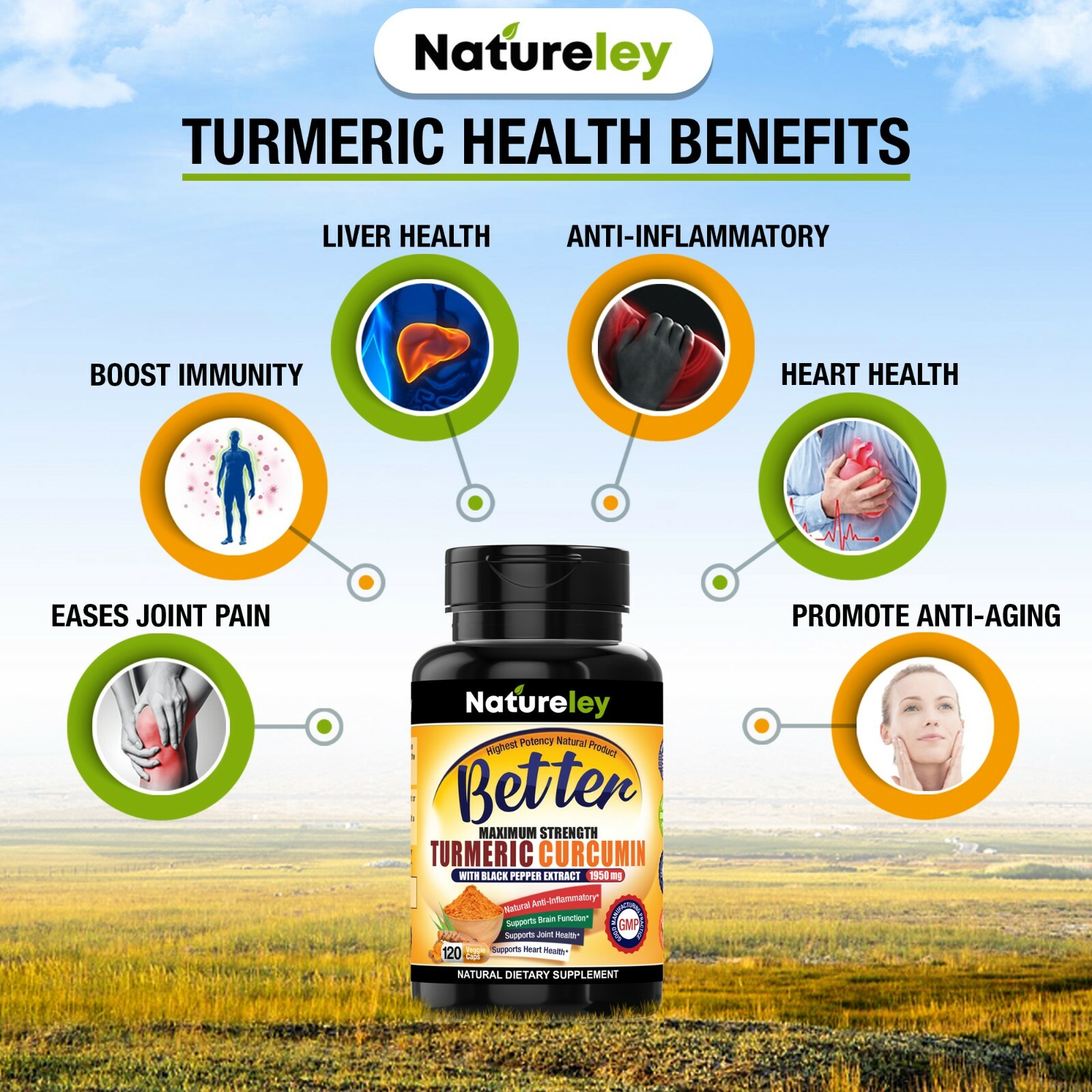 Organic Turmeric Curcumin 1950mg with Black Pepper Extract Supplements -120 Caps