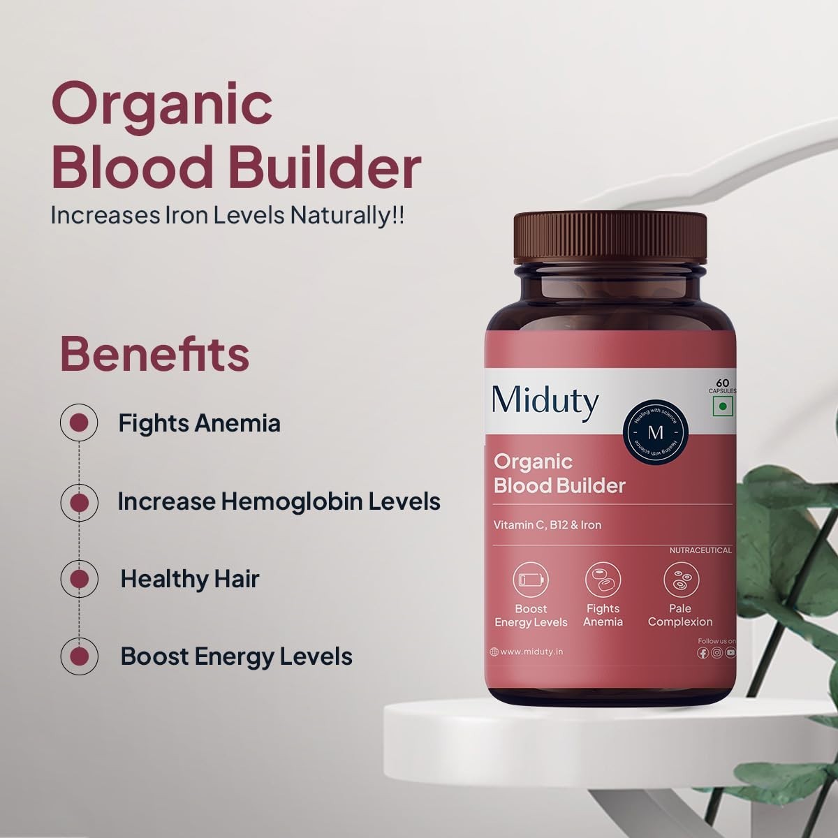 Blood Builder Anemia Supplement Hemoglobin Booster Non Constipating Iron 60 Caps