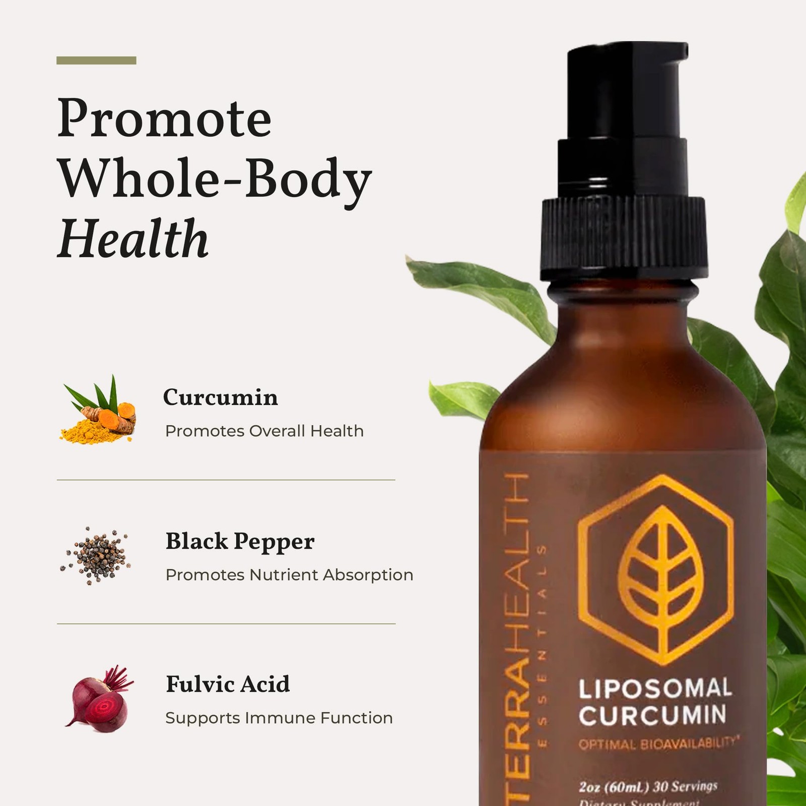 Terra Health Essentials Liposomal Curcumin Drops – Joint 2 Fl Oz (Pack of 1)