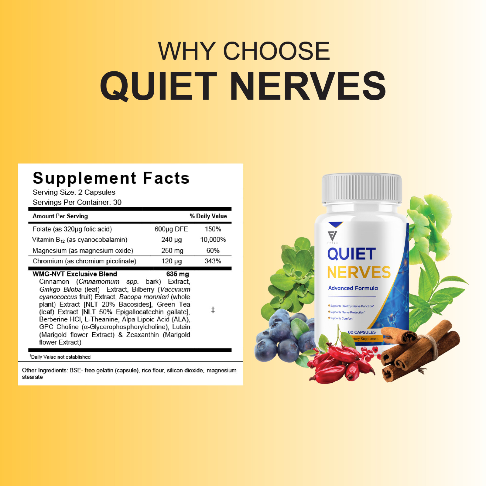 (5 Pack) Quiet Nerves Advanced Support, QuietNerves Formula (300 Capsules)