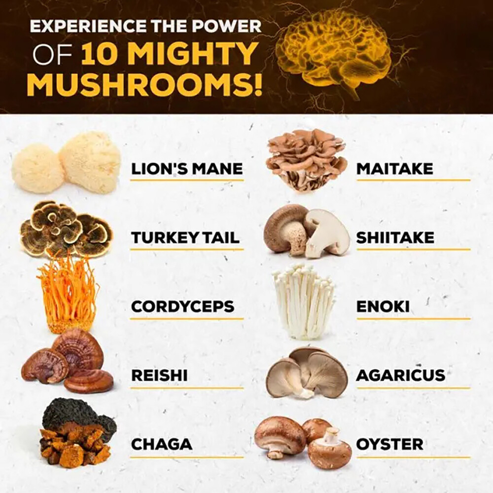 Mushroom Complex 11500mg w/ Lions Mane Turkey Tail Cordyceps Reishi Chaga