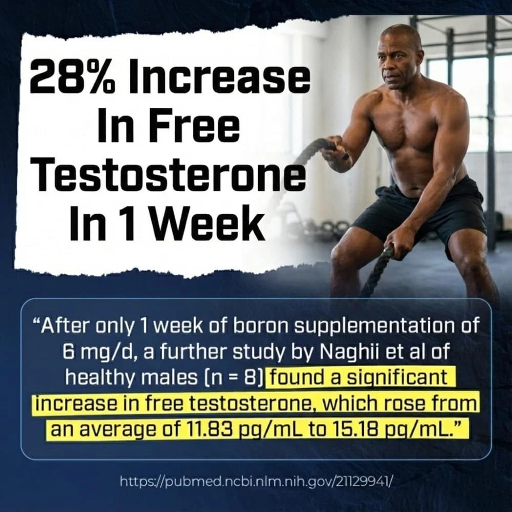 Sheer Strength Labs – Sheer Alpha Testosterone Booster (90 Capsules)