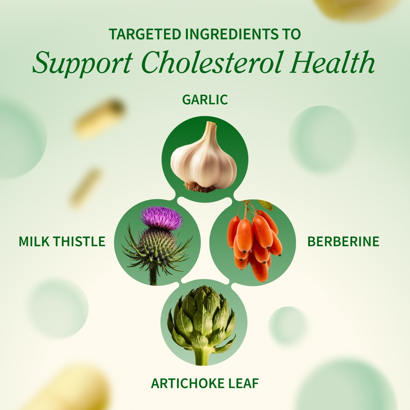 Cholesterol Health Snap Supplements Lipid Metabolism, Digestive Function, 60 Cap