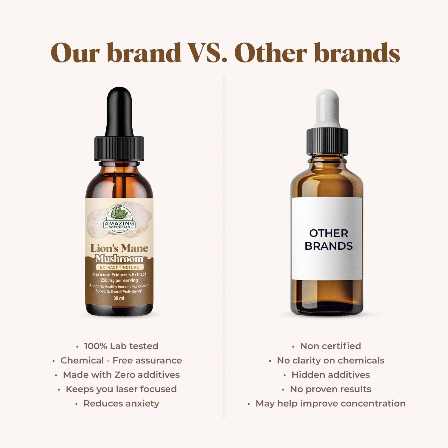 Amazing Botanicals Maitake Mushroom Extract – Liquid 1 Fl Oz (Pack of 1)