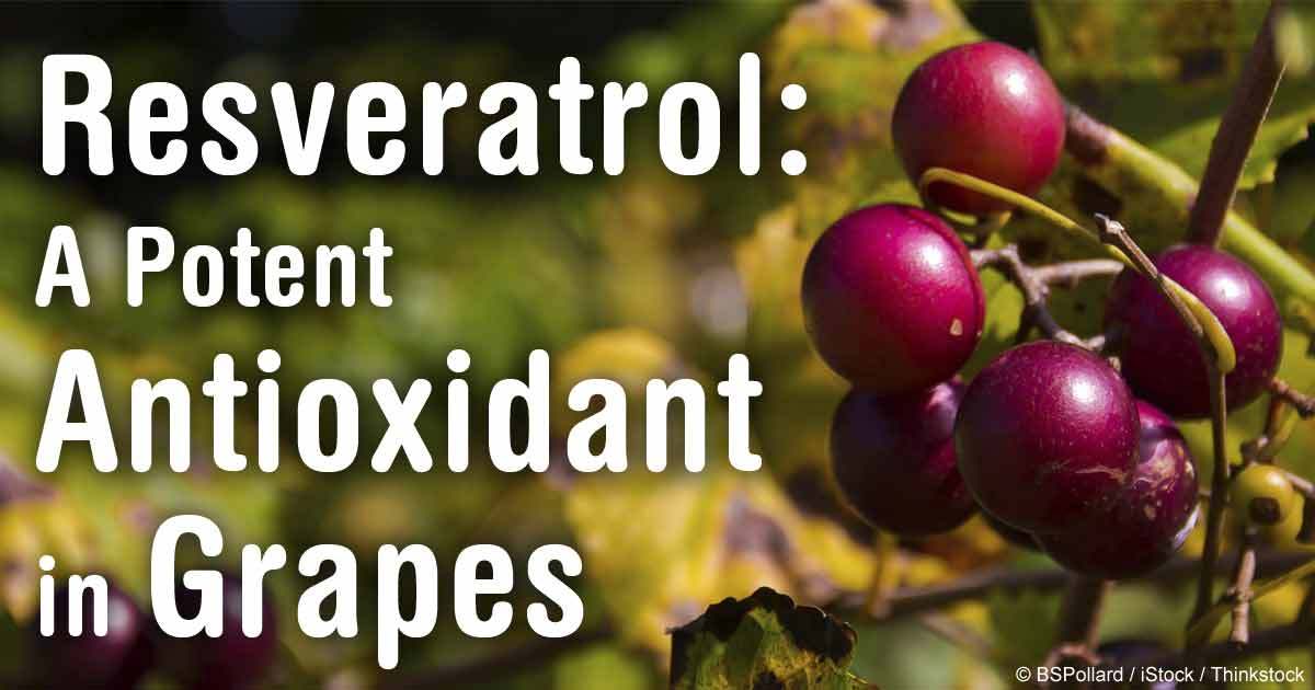 Parasite cleanse for humans – RESVERATROL – ANTI PARASITE COMBO – black walnut