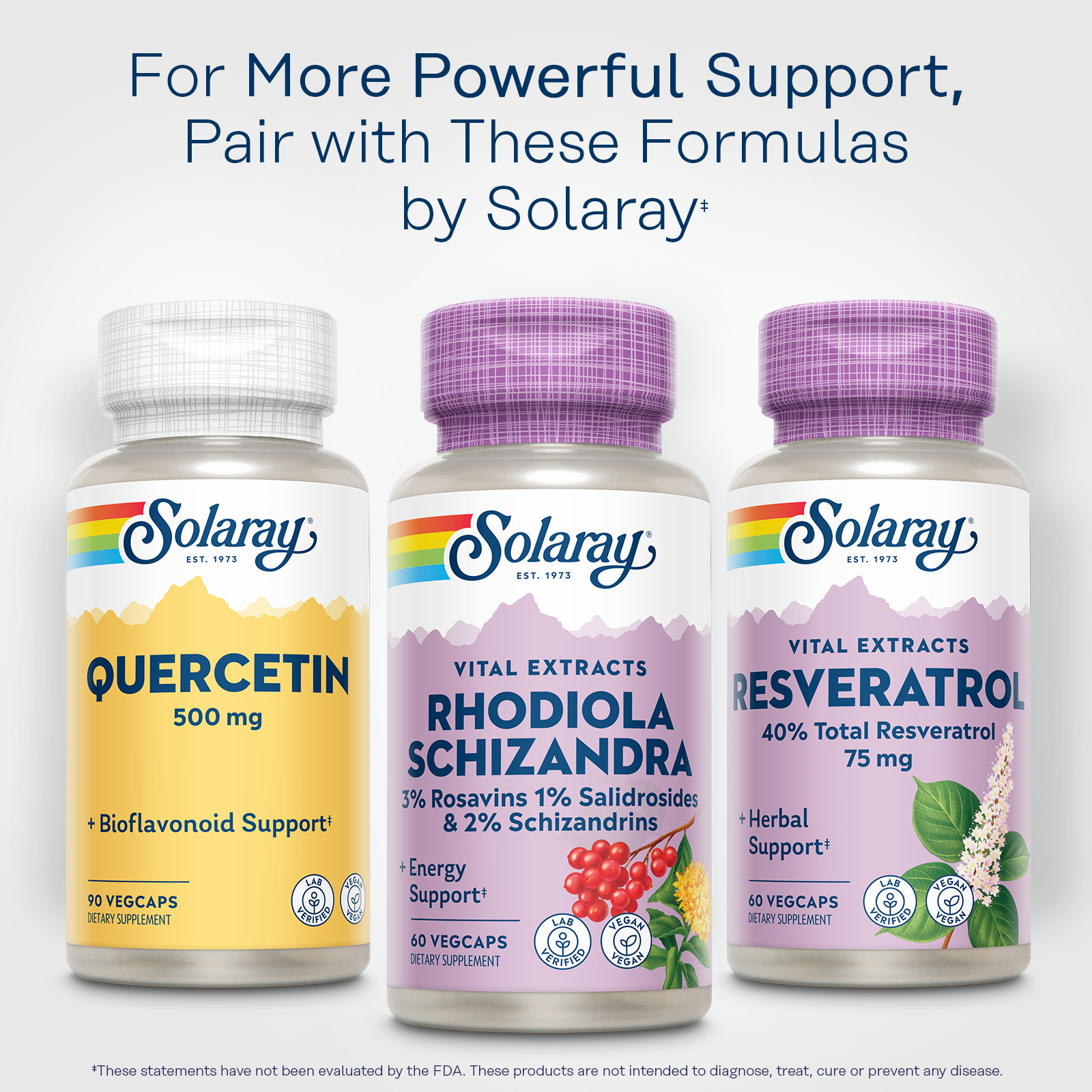 Solaray Rhodiola and Schizandra Supplement, 500 mg | 60 Count