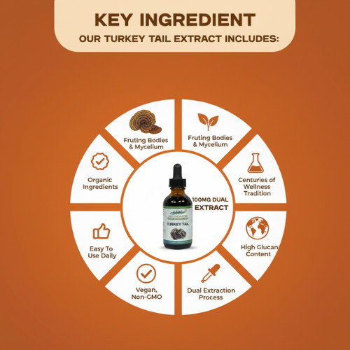 Mother Nature Turkey Tail Immune System Dietary Supplements – 60 ML