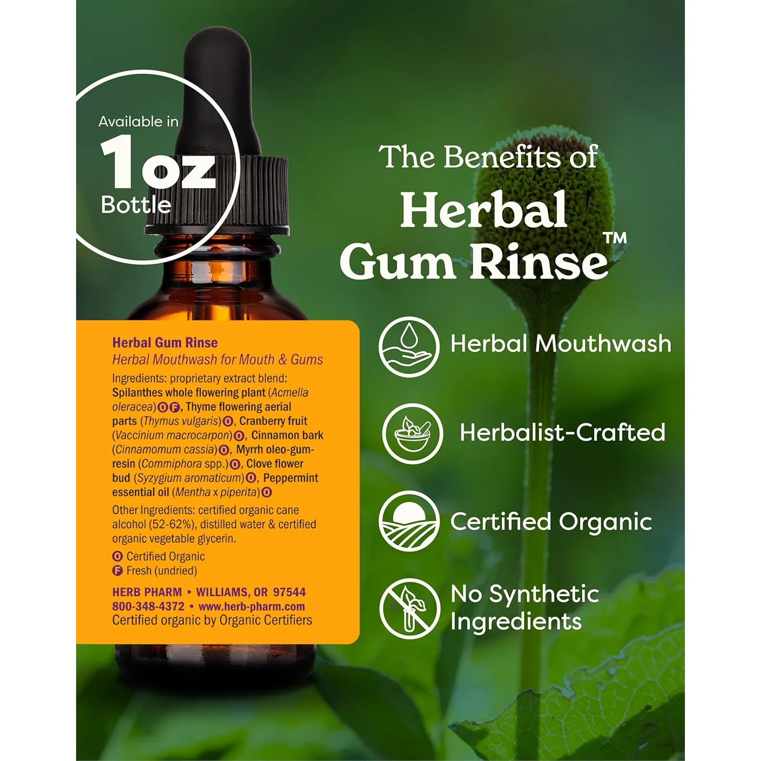Herb Pharm Gum Guardian Herbal Liquid Mouthwash, 1 Fluid Ounce