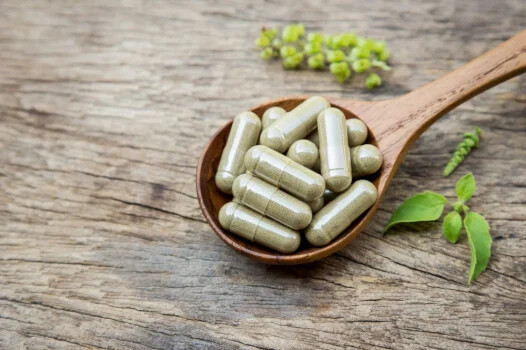 Olive Leaf Capsules – Highest Oleuropein – Organic – California Farm Grown