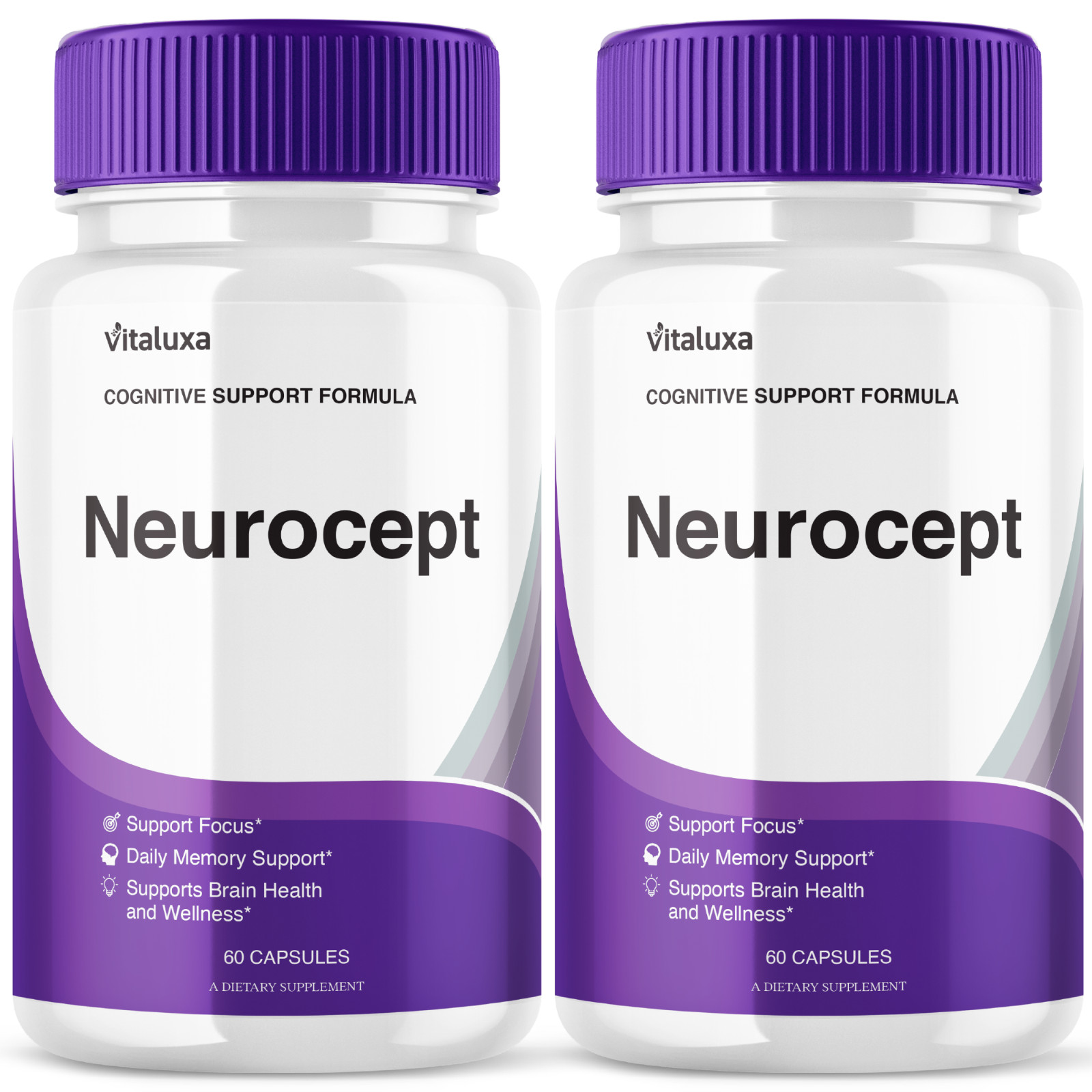 (2 Pack) Neurocept Nootropic Neuro Cept for Brain, Memory, Focus (120 Capsules)