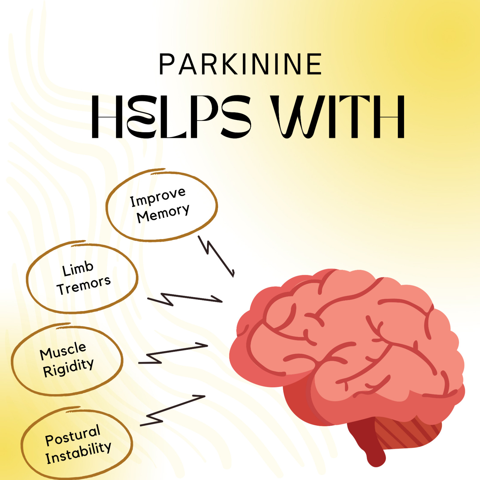 Optimize Brain Power, Improve Focus, Memory &Mental Agility, Bacopa Monnieri&B12