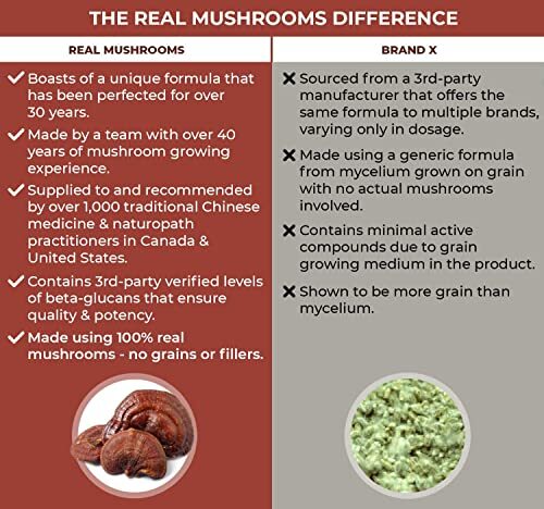 REISHI EXTRACT MUSHROOM SUPPLEMENTS Sleep and Relaxation 90Ct REAL MUSHROOMS