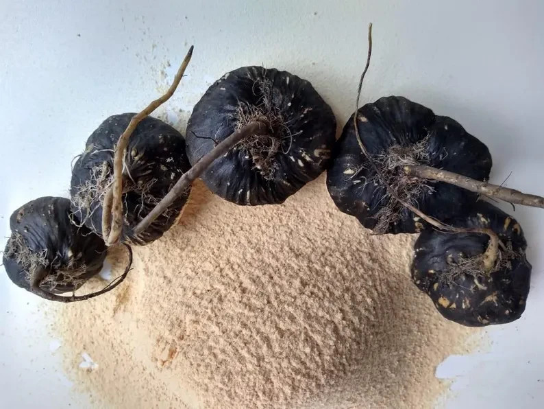 Black Maca Powder 100% Gelatinized Peru Andean Root Vegan Energy