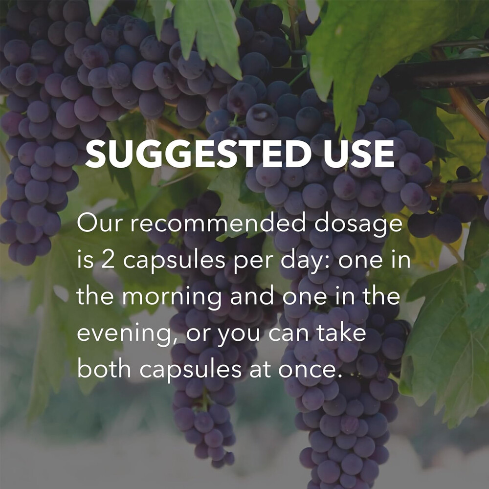 Trans-Resveratrol Capsules 120mg Anti-Aging Antioxidants, Brain Support