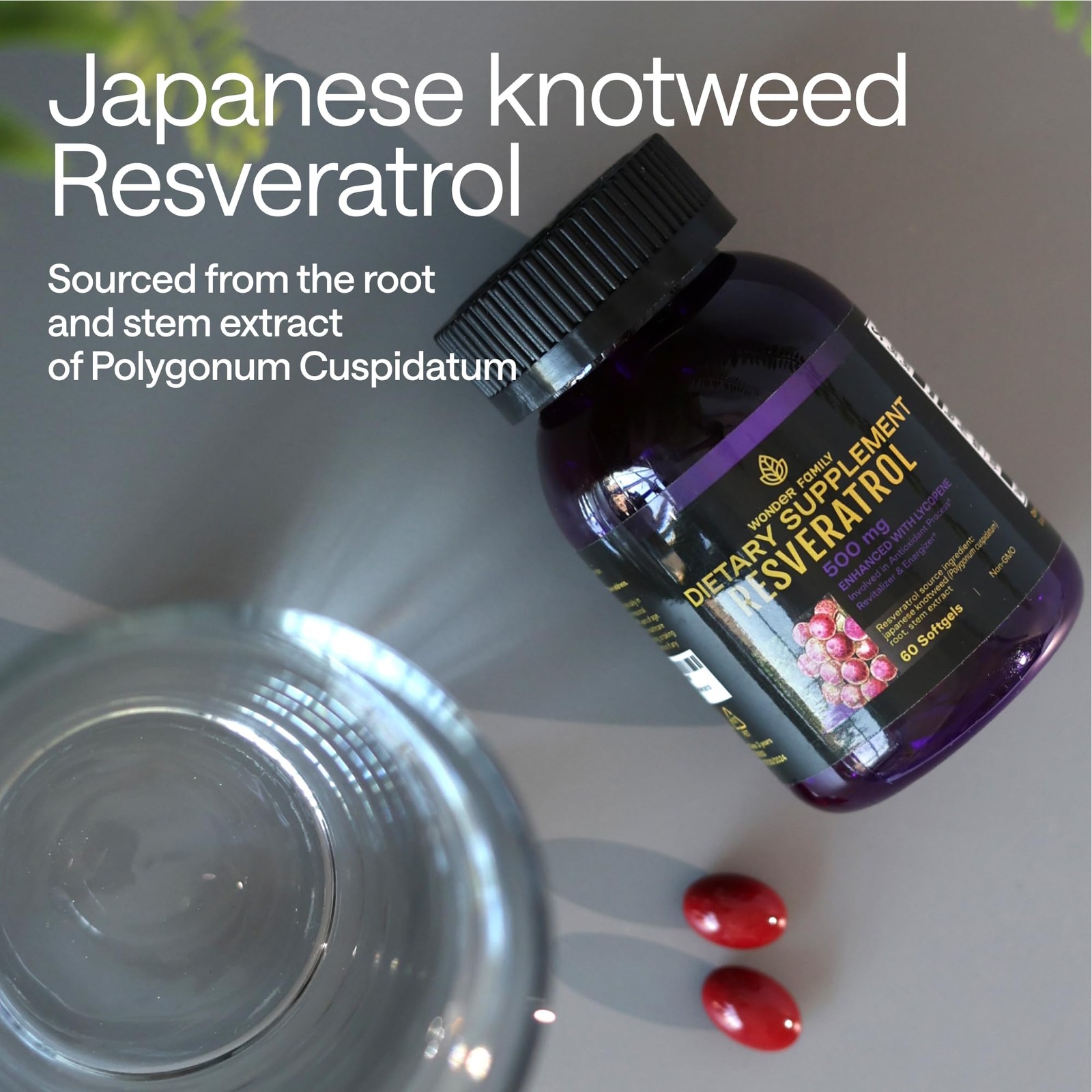 Resveratrol Supplement 500mg – 98% Trans 60 Count (Pack of 1)