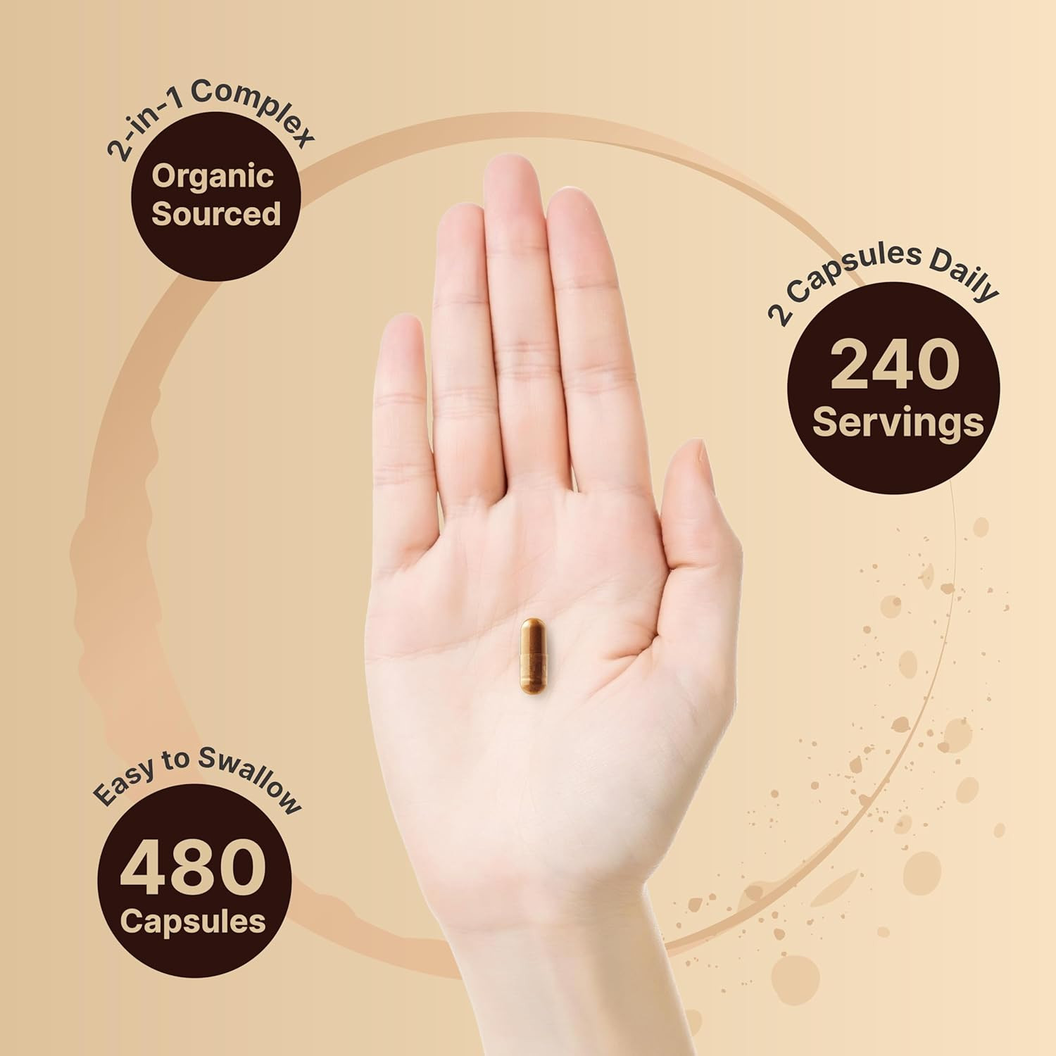 2 Pack Ceylon Cinnamon with Bitter Melon, 240 Capsules | Made with Organic Sr…