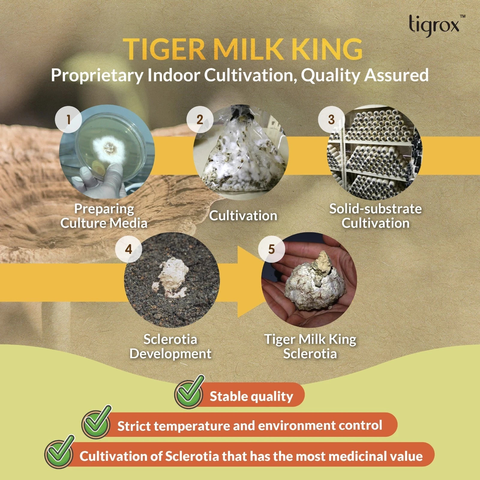 Tigrox Tiger Milk Mushroom (Loquat) Relieve Cough Nourish Lungs Respiratory 20’s