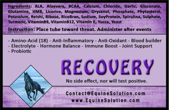 RECOVERY Tube Paste – Help Recover after intense exercise (2oz for Horses)