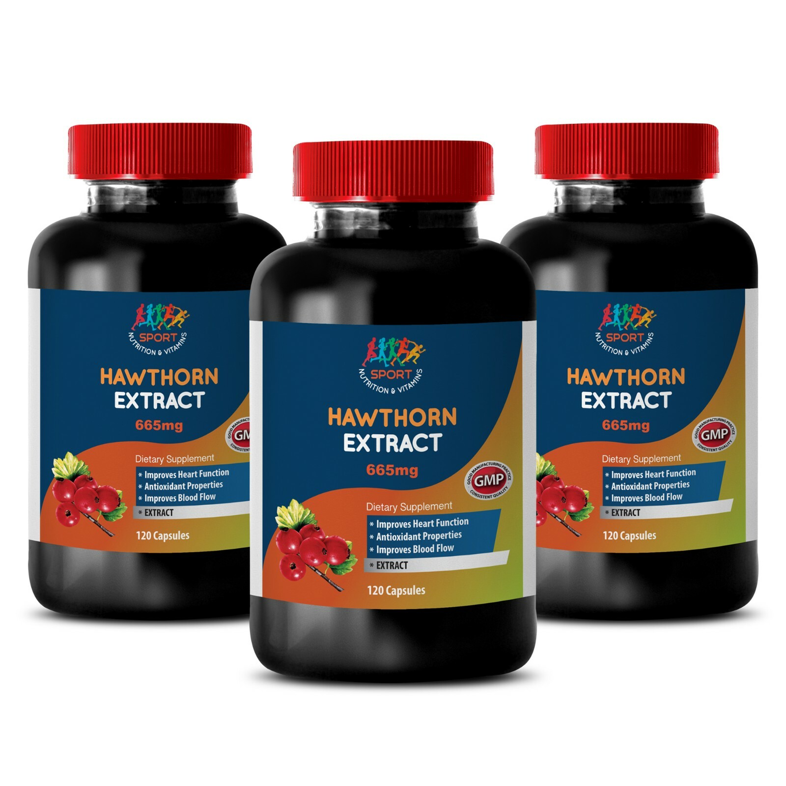 heart health supplement – HAWTHORN EXTRACT 665mg – dietary supplement 3B