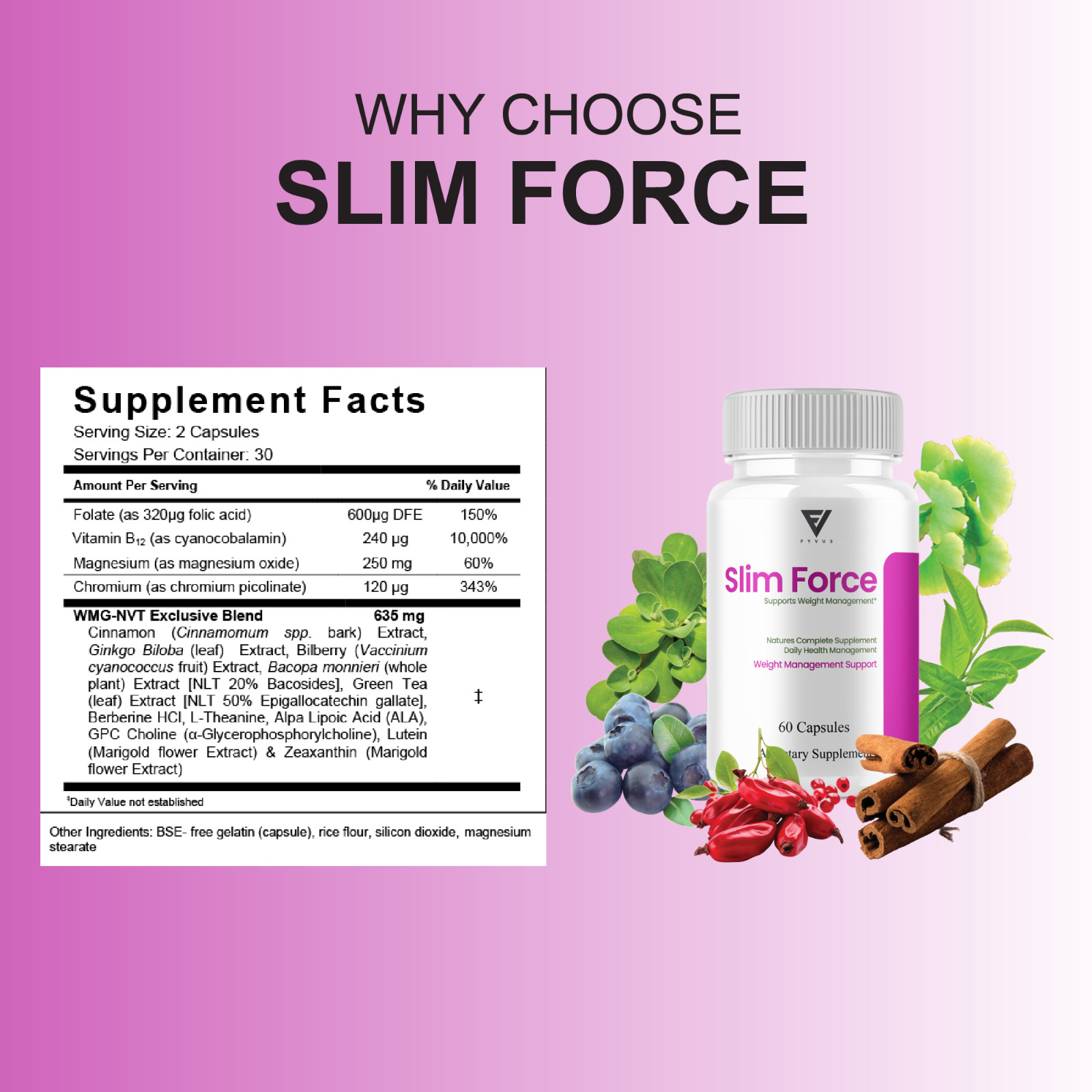 (5 Pack) Slim Force Advanced, SlimForce Weight Management Support (300 Capsules)