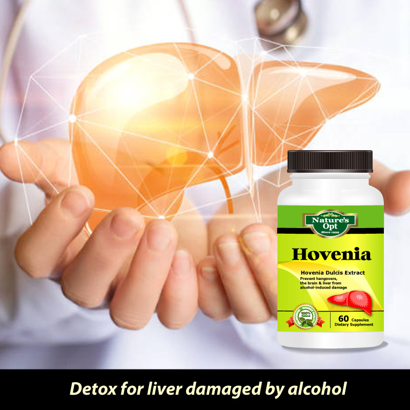 Hovenia Extract, Prevent hangovers, brain & liver from alcohol-induced damage