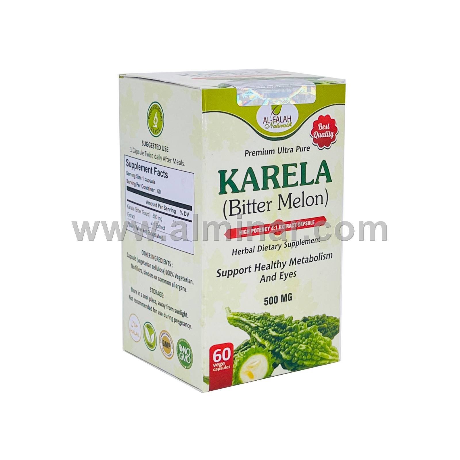 Bitter Melon 4:1 Premium Extract 500mg [60 Vegetarian/Halal Capsules] Exp 02/24