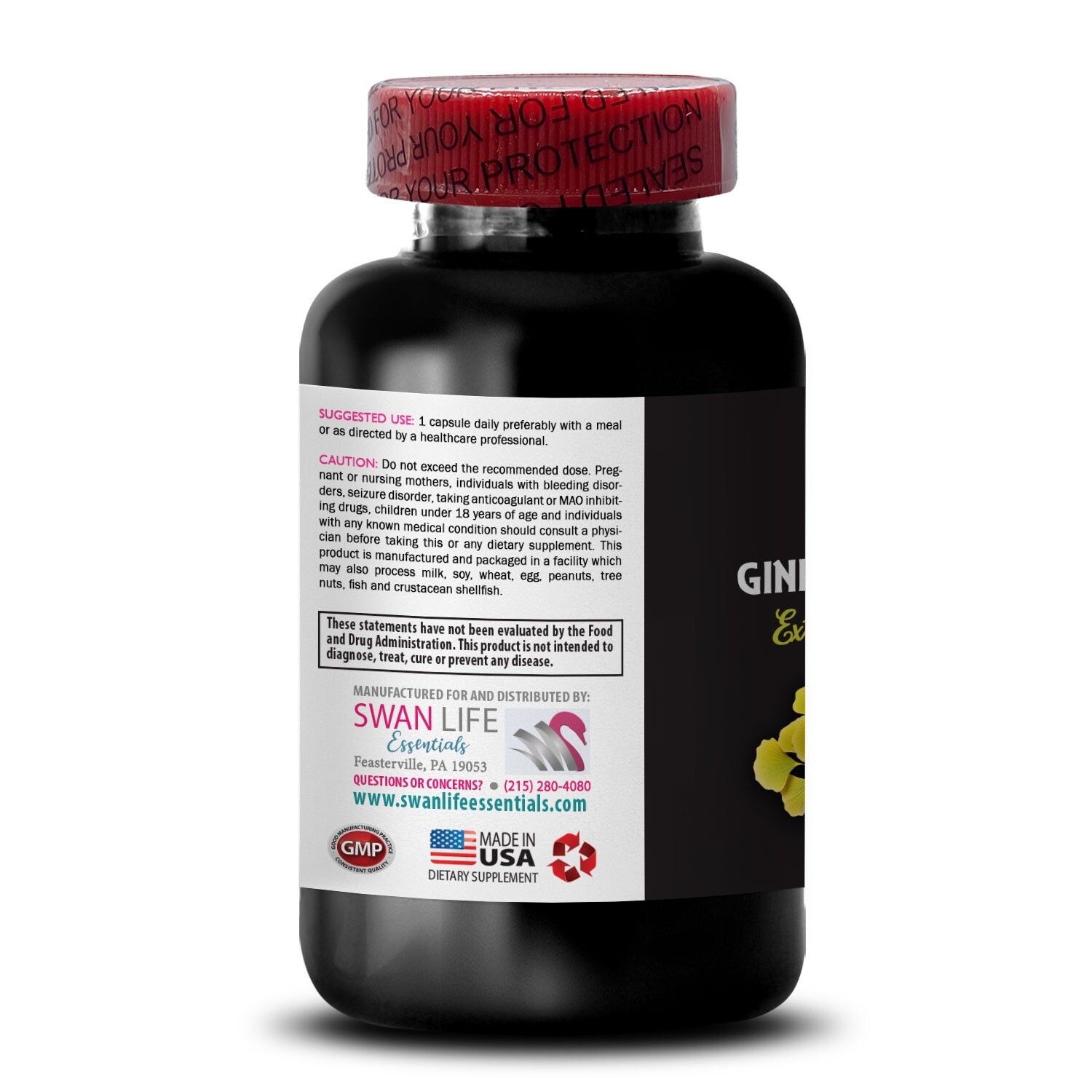 Ginkgo extract – GINKGO BILOBA EXTRACT – Natural synergy 1 Bottle 60 Capsules