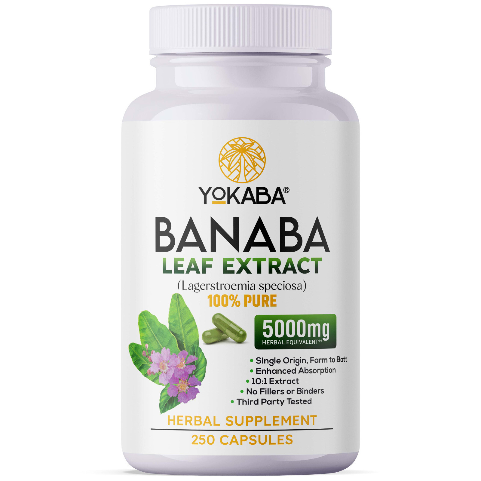 500 Capsules BANABA Leaf Extract 5000mg Corosolic Acid 3.8mg Lagerstroemia