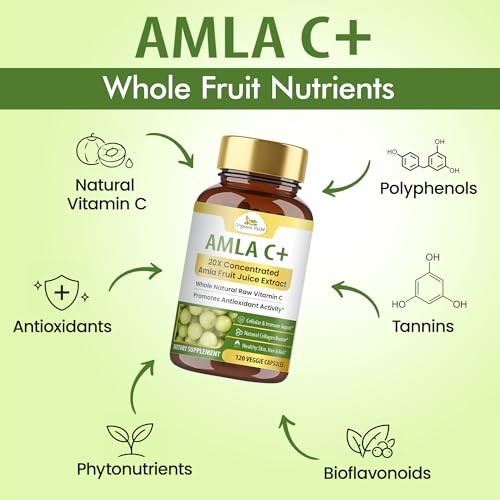 Amla Vitamin C Capsules 20X Concentrated Extract 120 Vegan