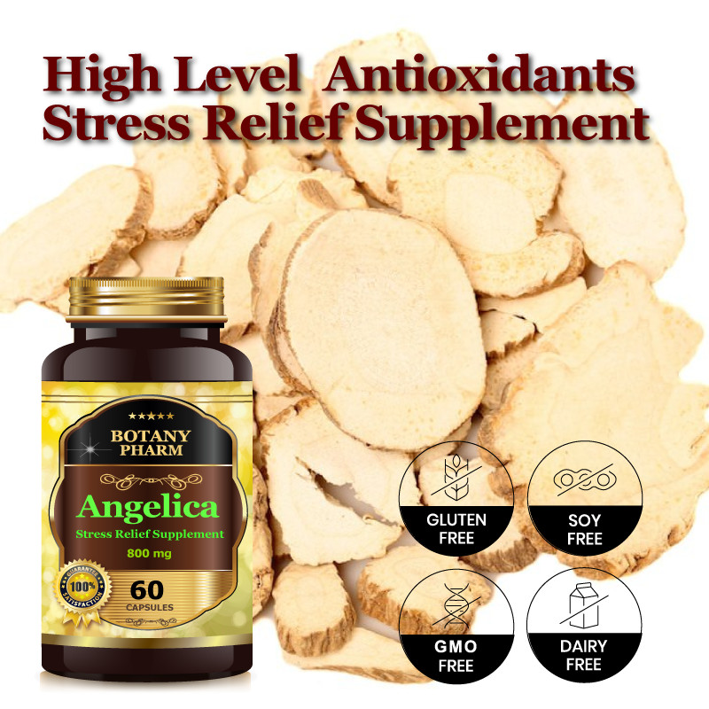 Angelica Root Digestive Health, Respiratory, Menstrual Relief, Immune Boost