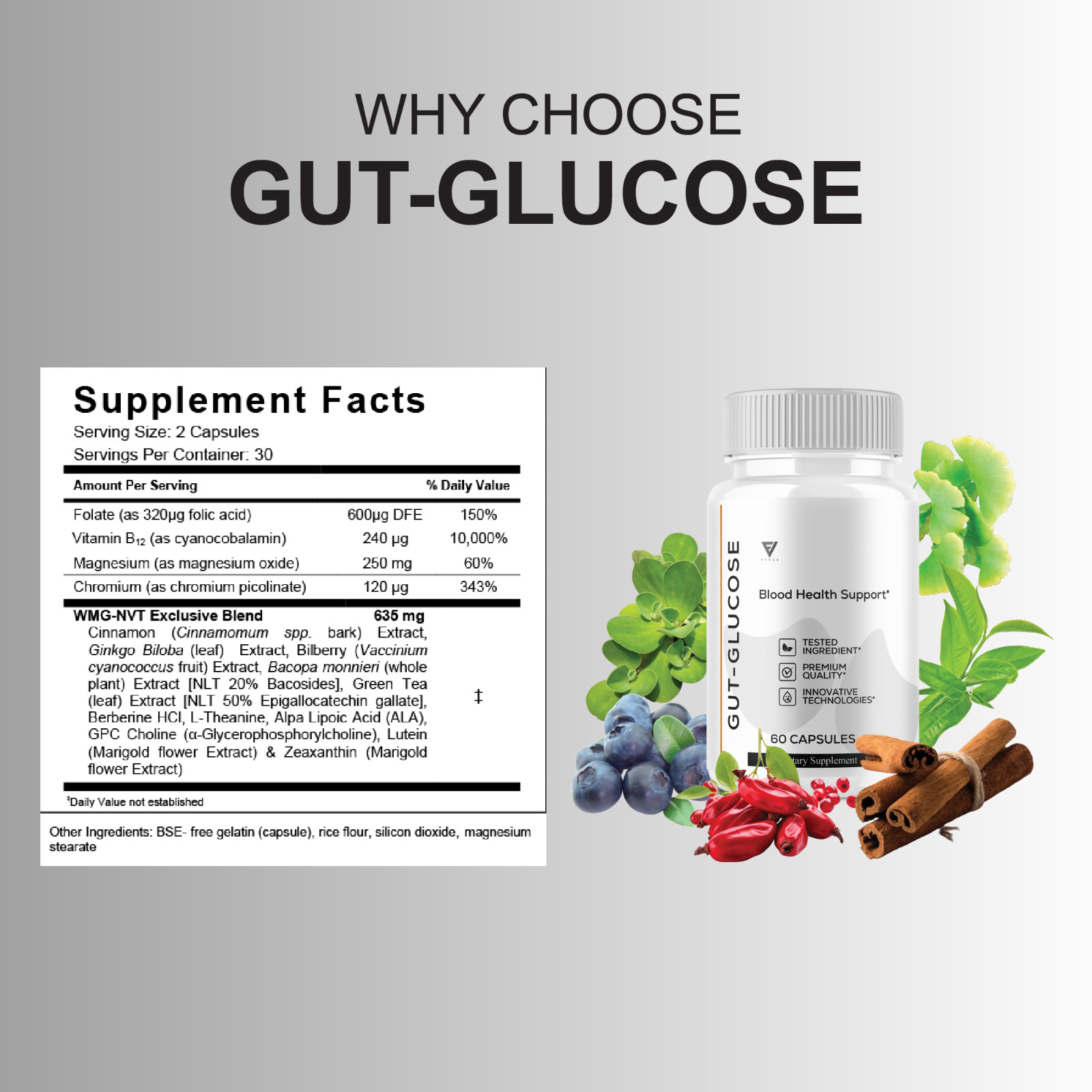 (5 Pack) Gut-Glucose Blood Support, Gut-Glucose Supplement (300 Capsules)