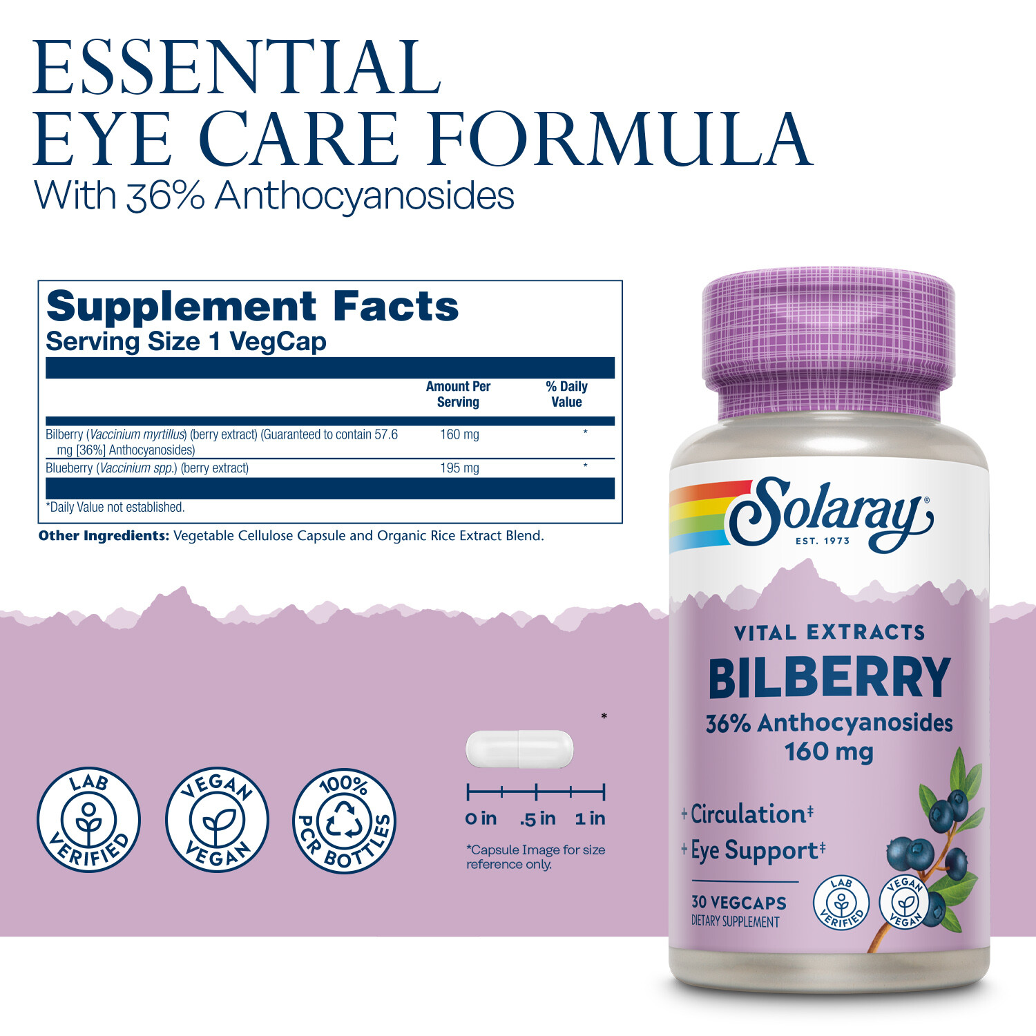 Solaray Bilberry Berry Extract 160 mg with Blueberry Extract | 30 VegCaps