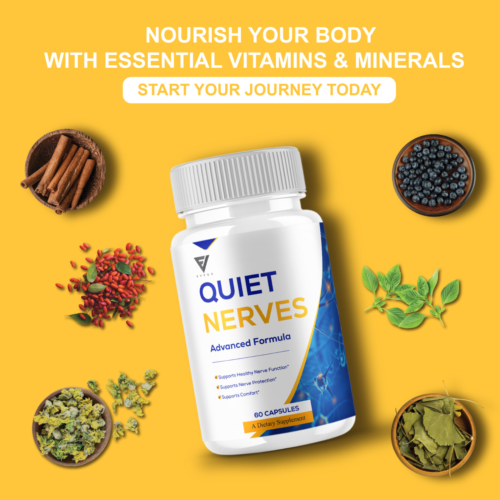 (5 Pack) Quiet Nerves Advanced Support, QuietNerves Formula (300 Capsules)