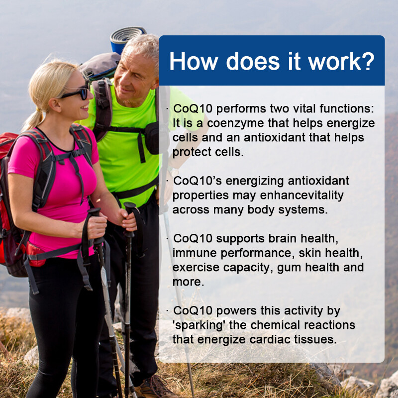 Co Q-10 COQ-10 400mg 120 Capsules Promotes Heart & Cardiovascular Wellness