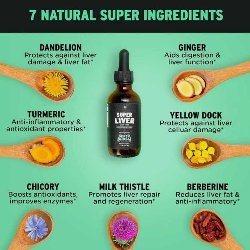 Herbal Liquid Drops Milk Thistle Turmeric Antioxidant Blend Supports Healthy NEW
