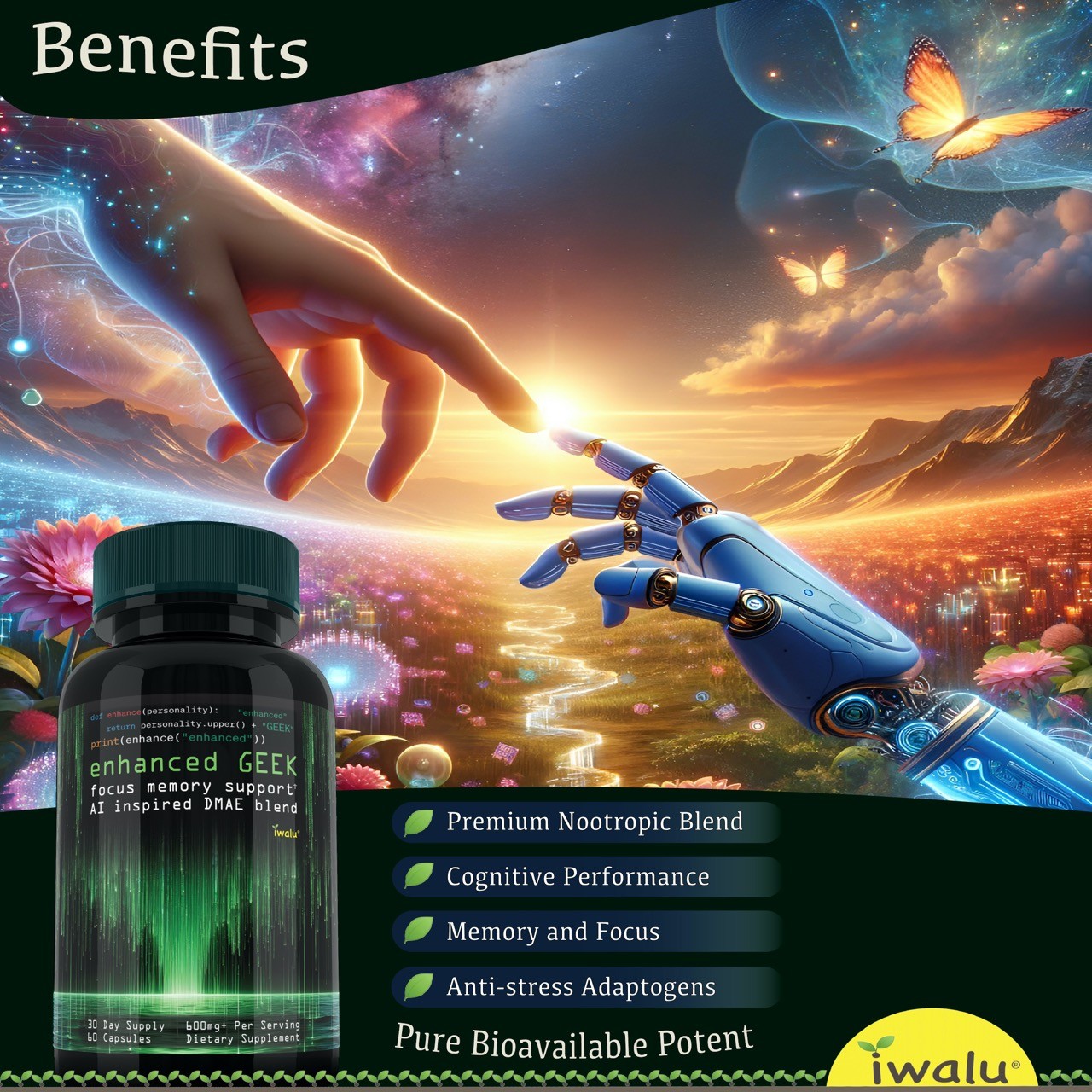 E GEEK | Best Vitamins to Help With Brain Fog | *FAST FREE SHIPPING* Same Day