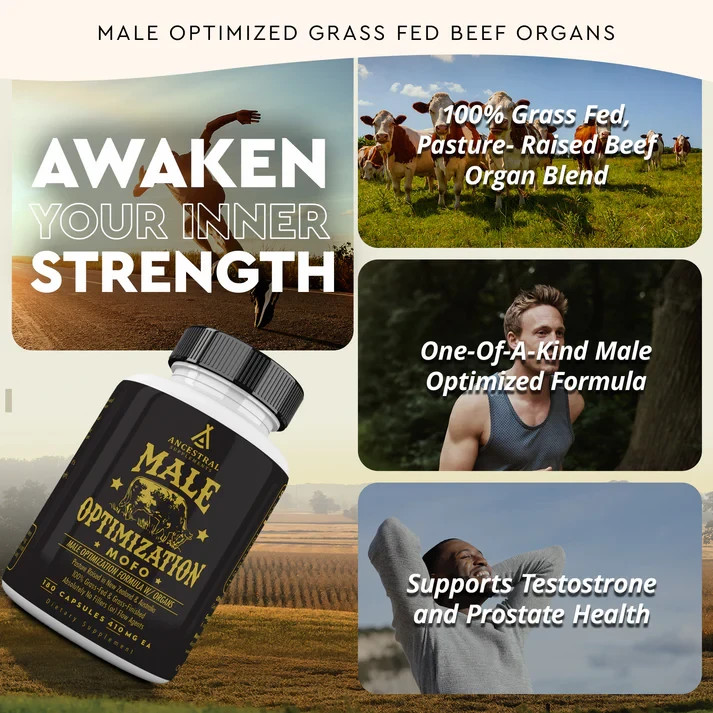 Ancestral Supplements MOFO Male Optimization Formula Grass Fed Organs 180 Caps