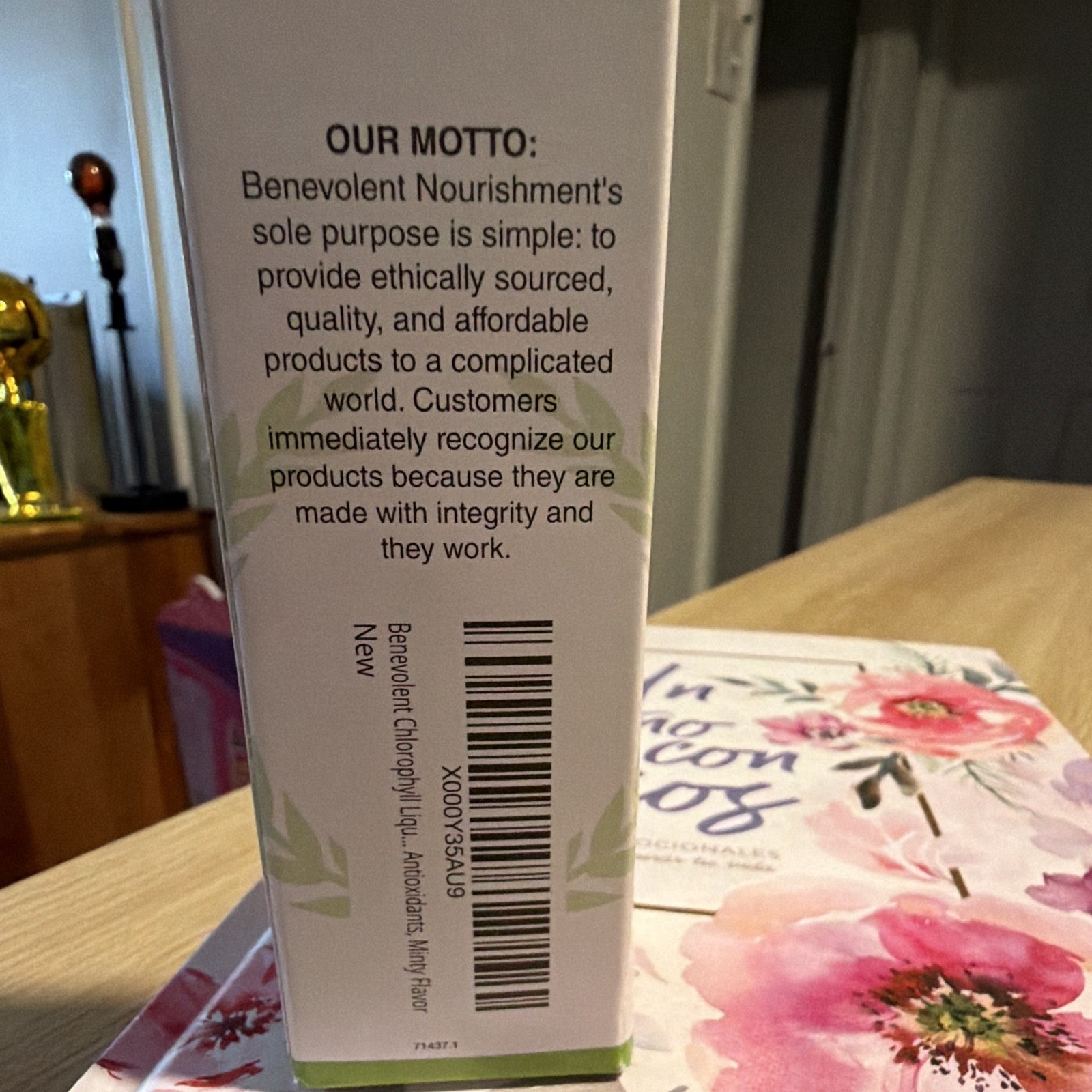 Benevolent Nourishment Liquid Chlorophyll Mint Alcohol Free 2 fl oz Exp 09/2027