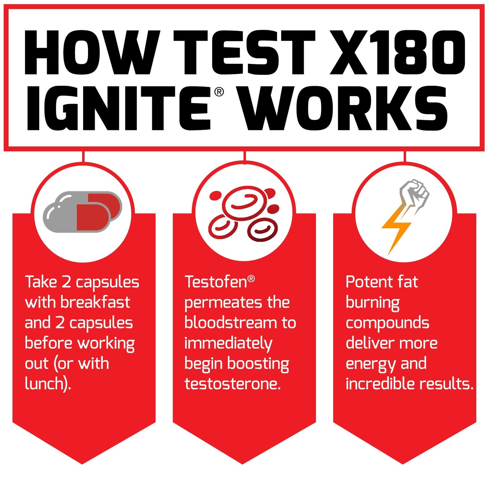 Test X180 Ignite Total Testosterone Booster for Men with Fenugreek Seed and G…
