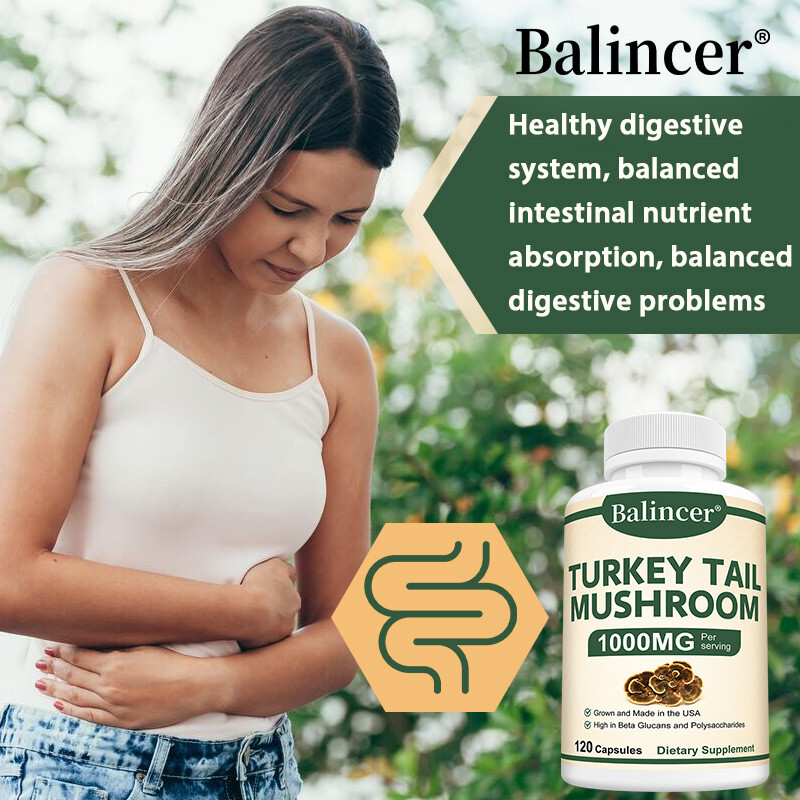 Supplements Turkey Tail Mushrooms Improve Digestion Strengthen Immunity 120 Pill