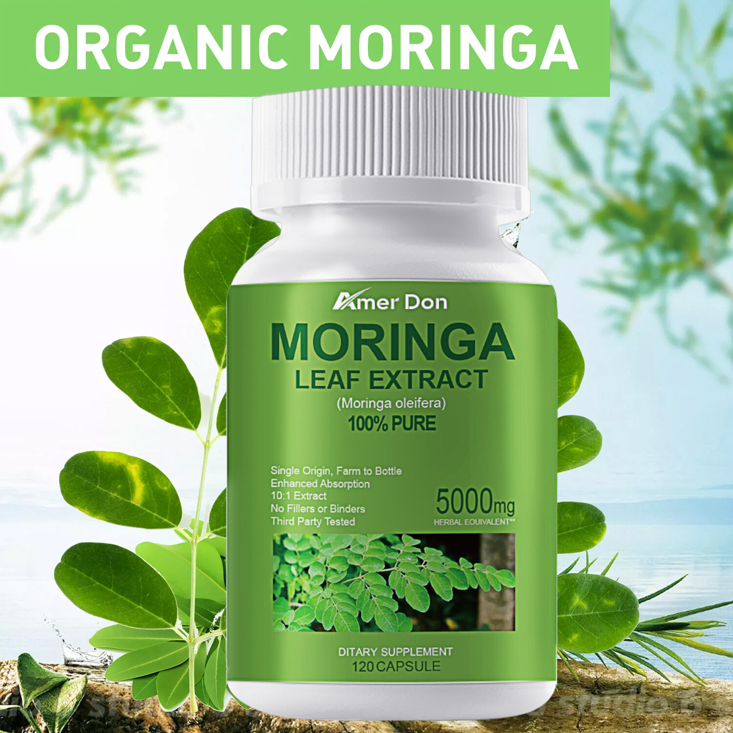 Organic Moringa Oleifera 5000mg Antioxidant 120 Caps No Preservative/Gluten Free