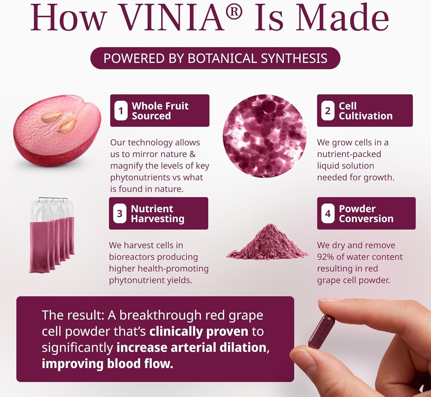 VINIA Blood Flow Capsules Red Grape Powder and Nitric Oxide Supplement 60 Caps