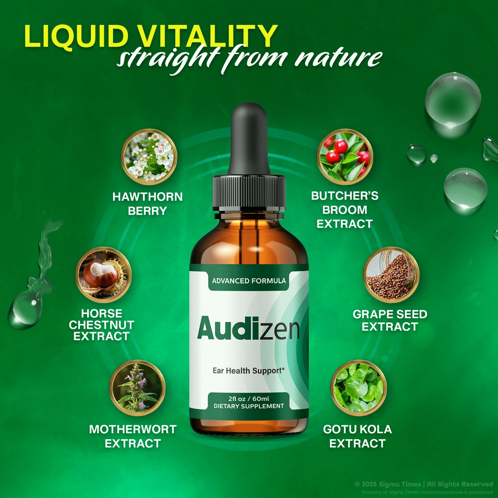 (2 Pack) Audizen Drops – Advanced Ear Health and Hearing Support Formula