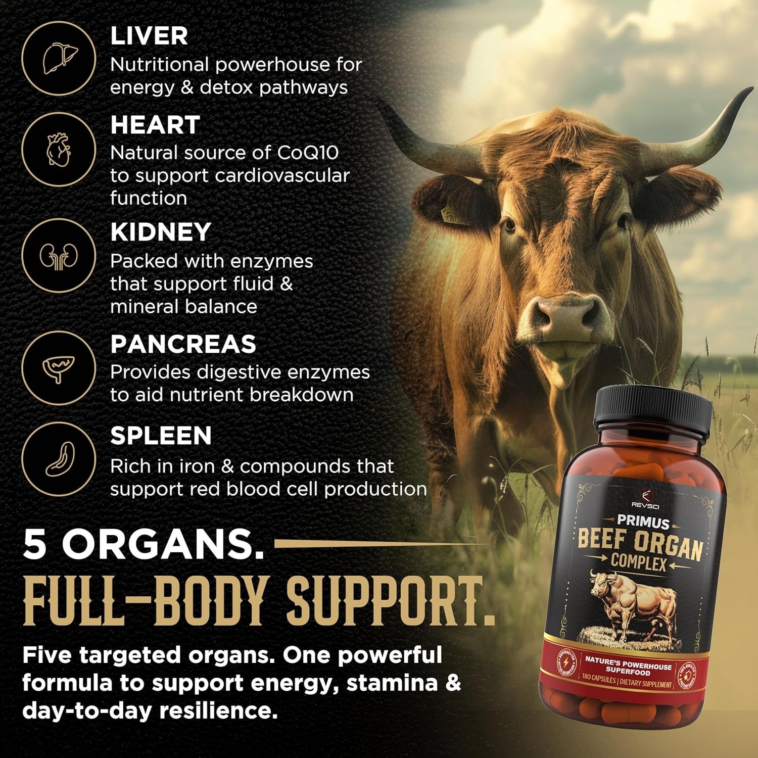 PRIMUS Grass Fed Beef Organ Supplement Complex 5 Organ Blend 180 Capsules REVSCI